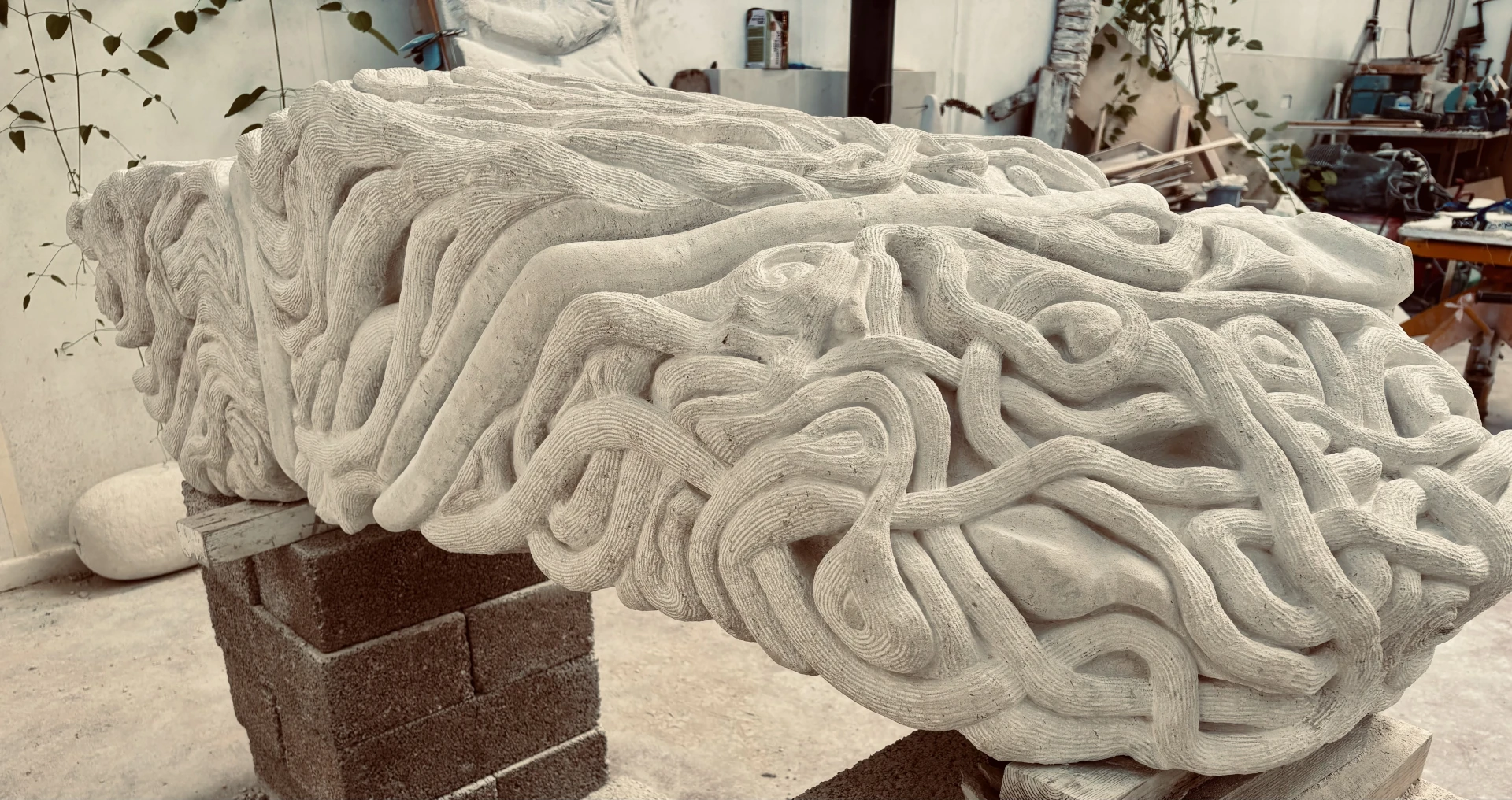 Body Bound, view 8