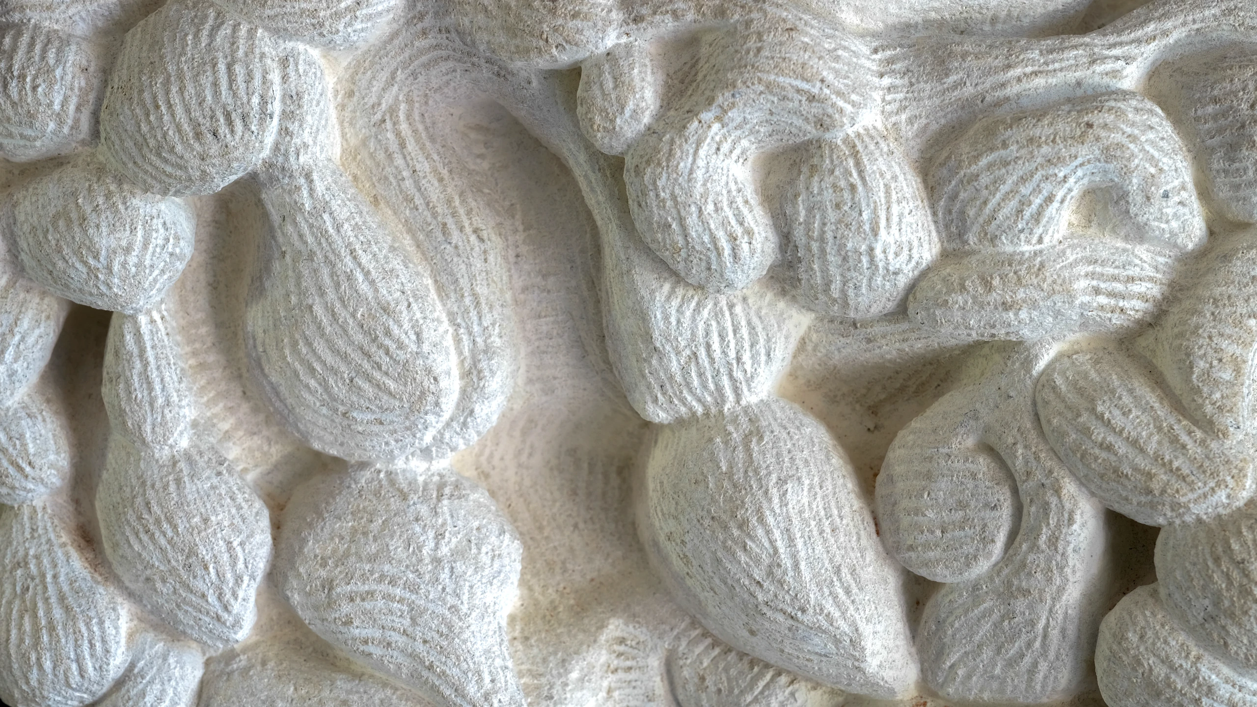 Emergence, view 6
