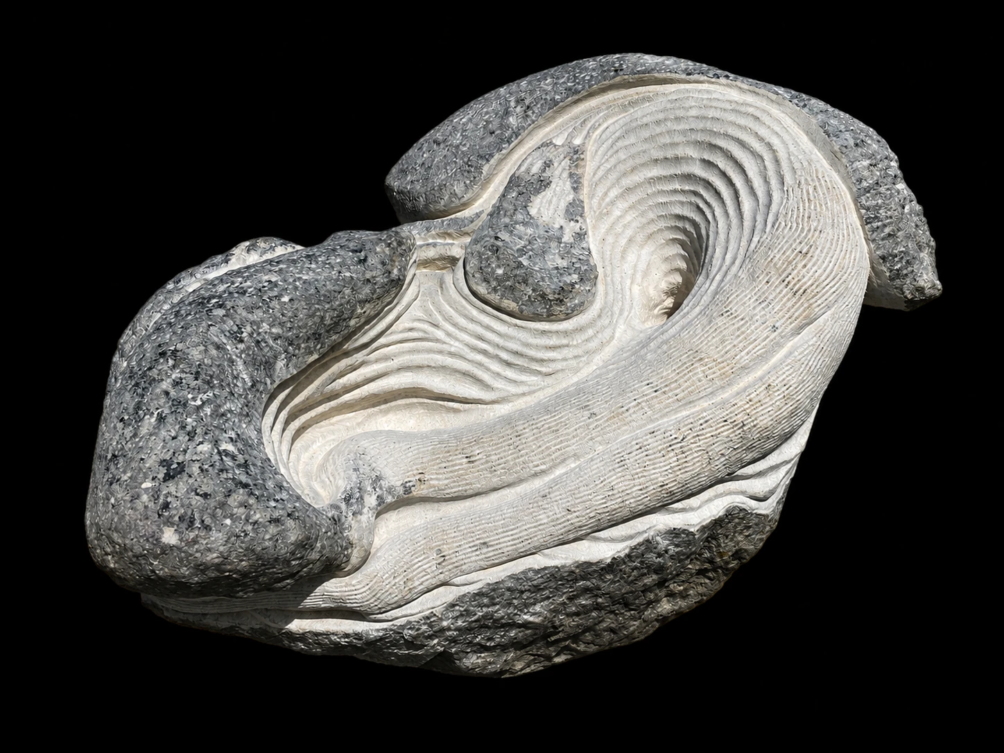 Vortex, view 2