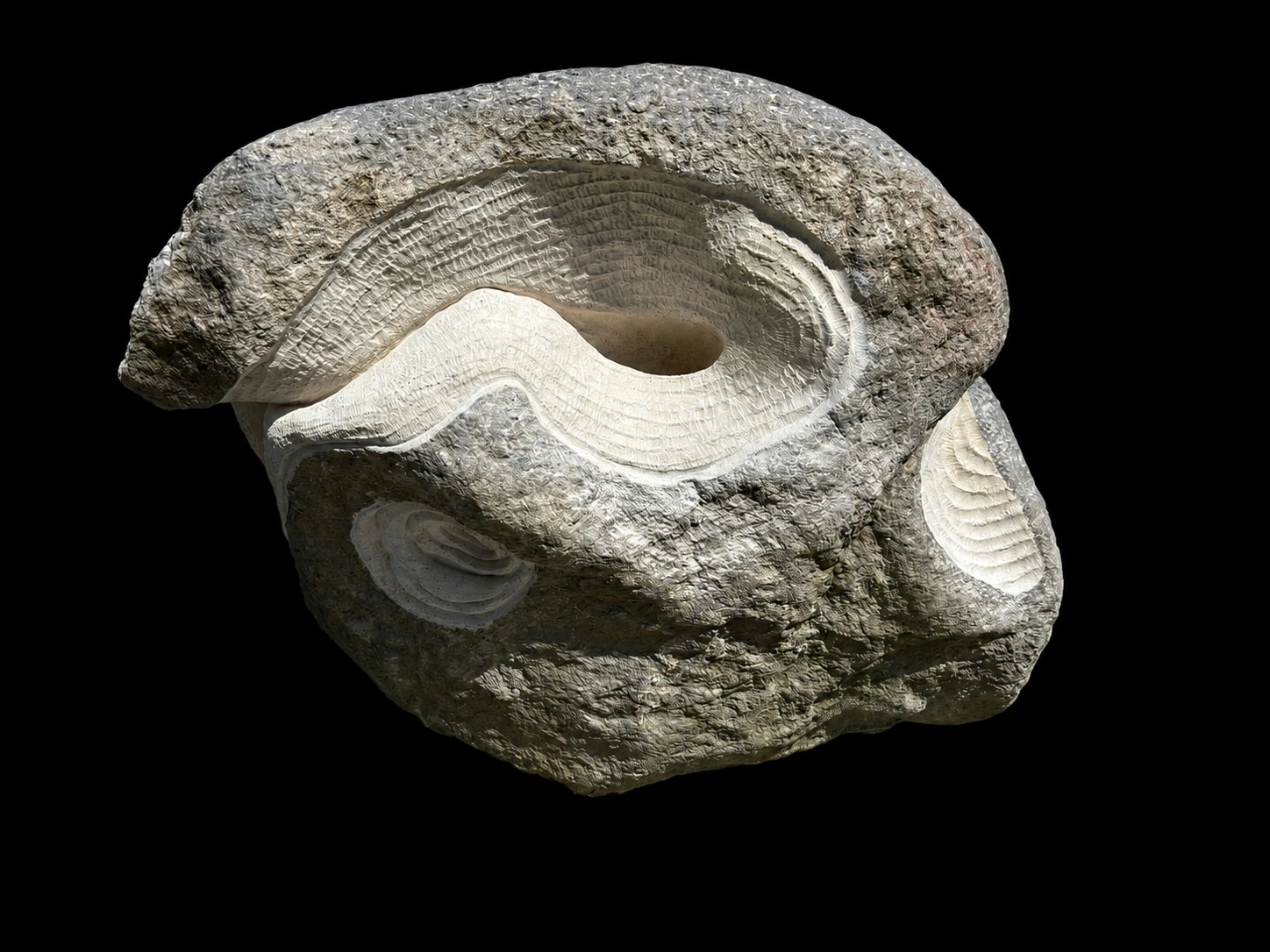 Vortex, view 6