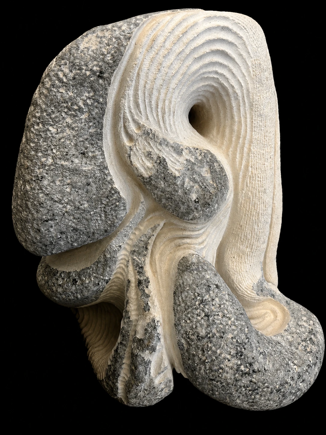 Vortex, view 7